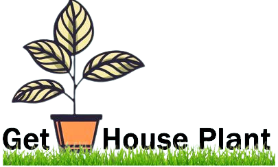 logo of gethouseplant.com